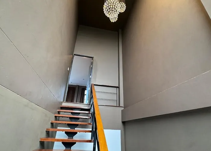 Tarzan Dz Luxurious